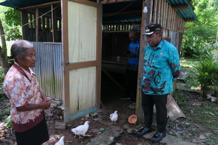 ayam 4