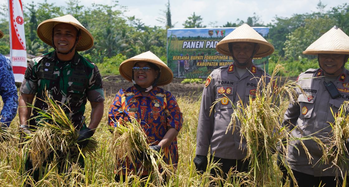 Cetak Sawah Rakyat
